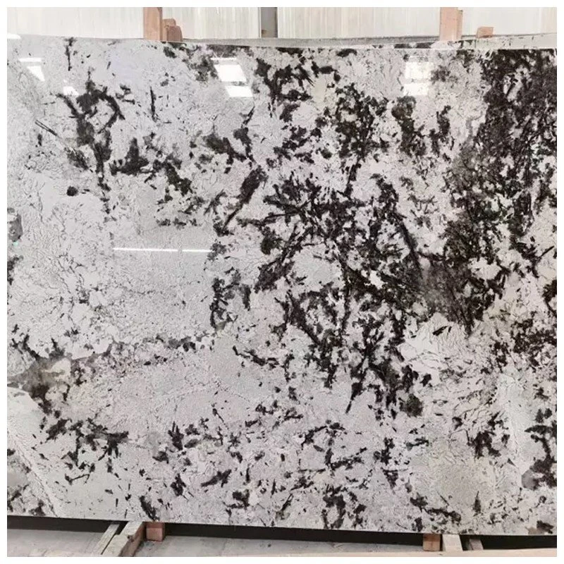 Bianco Delicatus Exotic Granite Slabs Bianco Delicatus Exotic Granite Slabs